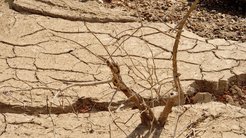 観測史上最も早い梅雨明けに各地で渇水の恐れ 異常気象は「地球温暖化」のせいではない 観測史上最も早い梅雨明けに各地で渇水の恐れ 異常気象は「地球温暖化」のせいではない
