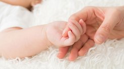交通事故で重傷の胎児、「人」とみなされない刑法に疑問噴出 「胎児は人でない」説の宗教的問題点とは? 交通事故で重傷の胎児、「人」とみなされない刑法に疑問噴出 「胎児は人でない」説の宗教的問題点とは?