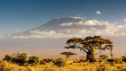 アフリカの門戸をめぐる攻防──タンザニアと中国の経済的依存【チャイナリスクの死角】