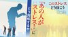 疲労・人間関係・プレッシャー このストレスどう抜こう ─ Part 2 「あの人がストレス!」にどう対処するか 疲労・人間関係・プレッシャー このストレスどう抜こう ─ Part 2 「あの人がストレス!」にどう対処するか