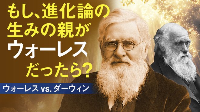 ウォーレス vs. ダーウィン ─ もし、進化論の生みの親がウォーレスだったら? ウォーレス vs. ダーウィン ─ もし、進化論の生みの親がウォーレスだったら?